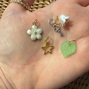 Assorted Charm Set